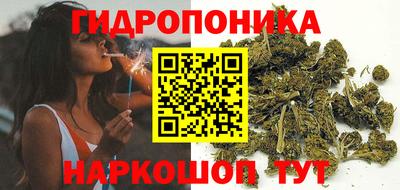 гидропоника Ставрополь