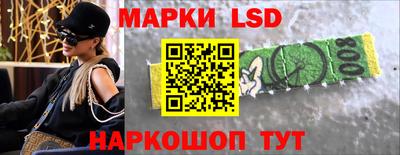 гидропоника Ставрополь