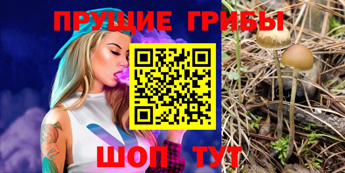 где купить наркотик  Галлюциногенные грибы Cubensis  Вход с VPN  Минеральные Воды 