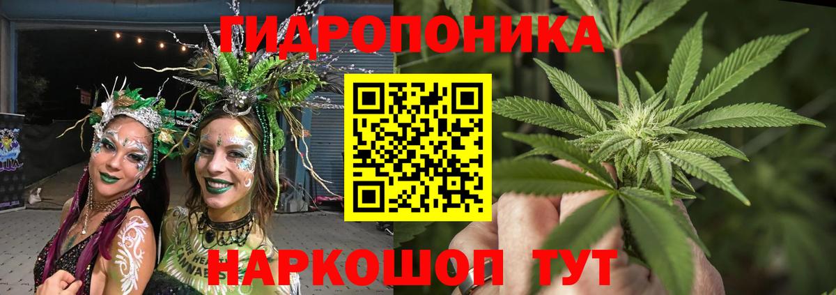 Минеральные Воды  Бошки марихуана Bruce Banner  Вход с VPN  Марихуана гибрид 